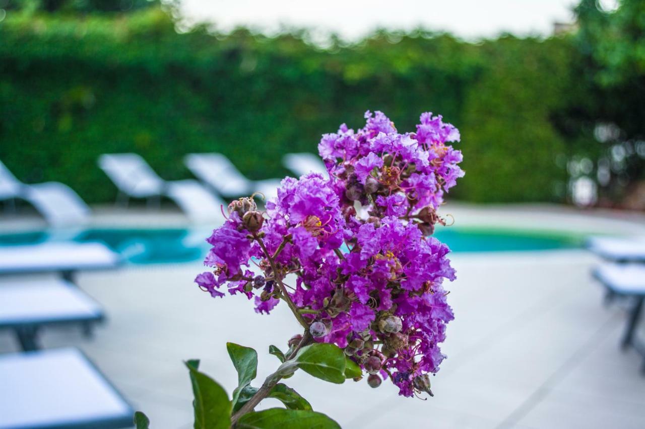 Villa Marylu' Ischia Exteriör bild